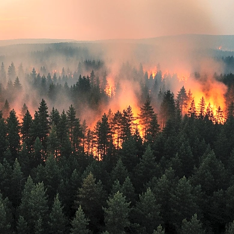 Willow Fire in North Rifle Prompts Evacuations Amid Rapid Spread