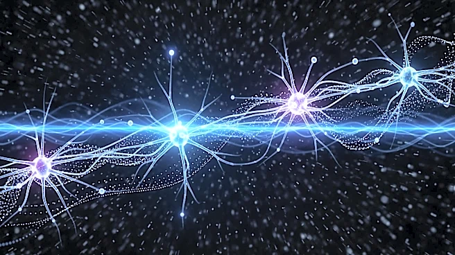 AI Transfer Learning Strategy Unveiled to Explore New Physics Beyond Standard Models