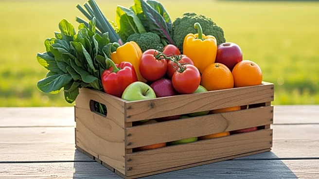 Minnesota Department of Agriculture Allocates $1.3 Million for Farm to School Program