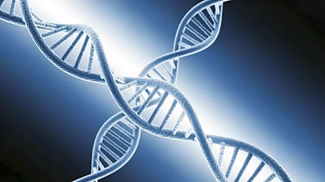 Boston Children's Hospital Identifies Cancer-Linked Mutations in Alzheimer's Disease
