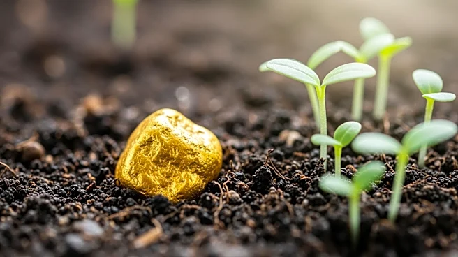 Laiva Gold Appeals Environmental Permit Revocation Amid Compliance Achievements