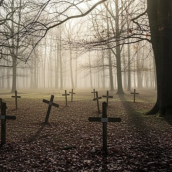 Mexican Group Reports Discovery of Unmarked Graves Amid Search for Nancy Guthrie