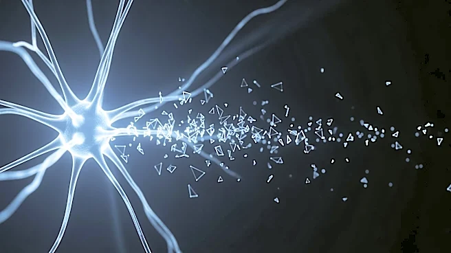AI Systems Struggle with Human Attention Test, Revealing Cognitive Limitations