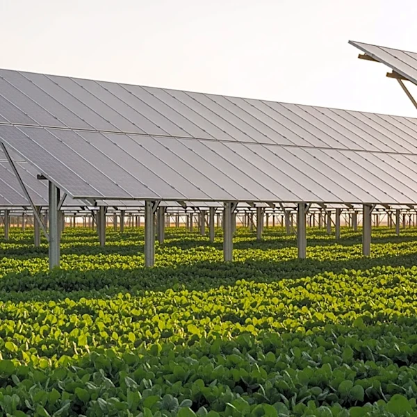 Agrivoltaics: A Promising Solution for Sustainable Agriculture and Energy Efficiency
