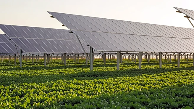Agrivoltaics: A Promising Solution for Sustainable Agriculture and Energy Efficiency