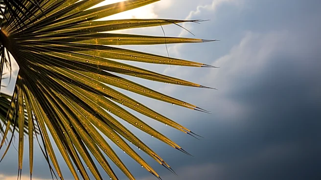 South Florida Faces Triple-Digit Heat with Increased Thunderstorm Risk