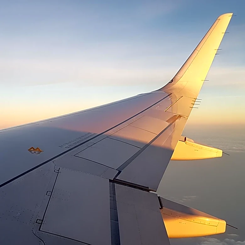 U.S. International Air Travel Sees Slight Decline in May 2026 Amid Post-Pandemic Adjustments