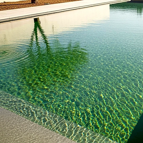 Lincoln Memorial Reflecting Pool Turns Green, Highlights Pool Maintenance Challenges