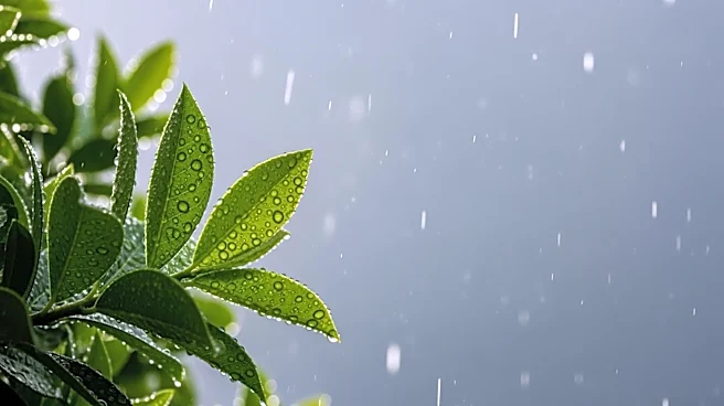 Rising Humidity and Potential Rain Expected in Maryland
