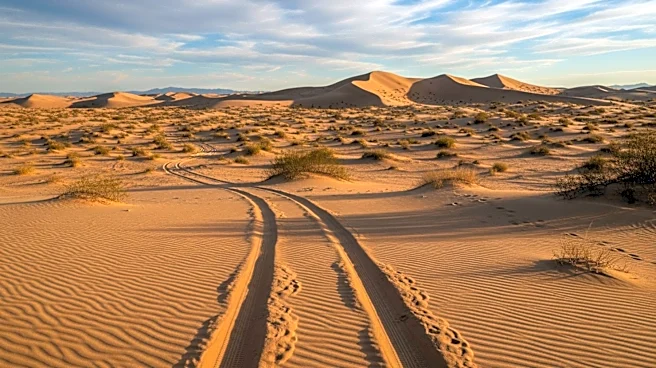 President Trump Rescinds Nixon-Era Environmental Safeguards Amid Mojave Desert Off-Roading Debate
