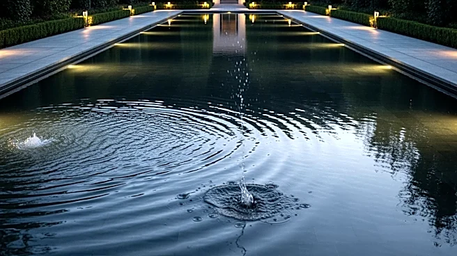 Former Olympian Arrested for Alleged Vandalism of Reflecting Pool in Washington D.C.