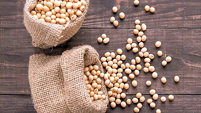 Carr Family Endows Soybean Research Project to Enhance Agricultural Education