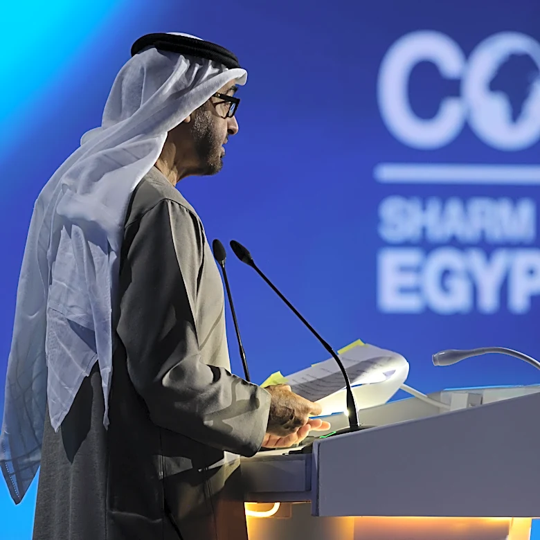Strategies to Combat Climate Disinformation Highlighted
