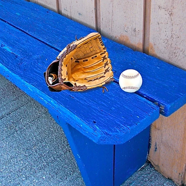 Hawk Rescued from Batting Cage at Long Island's Redwing Field Park