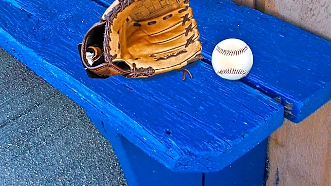 Hawk Rescued from Batting Cage at Long Island's Redwing Field Park