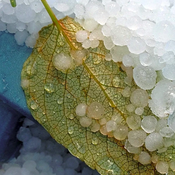 Severe Hailstorm Damages Dozens of Windows in Fort Morgan, Colorado