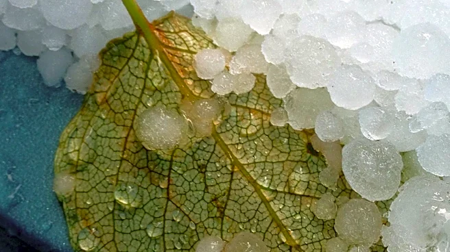 Severe Hailstorm Damages Dozens of Windows in Fort Morgan, Colorado