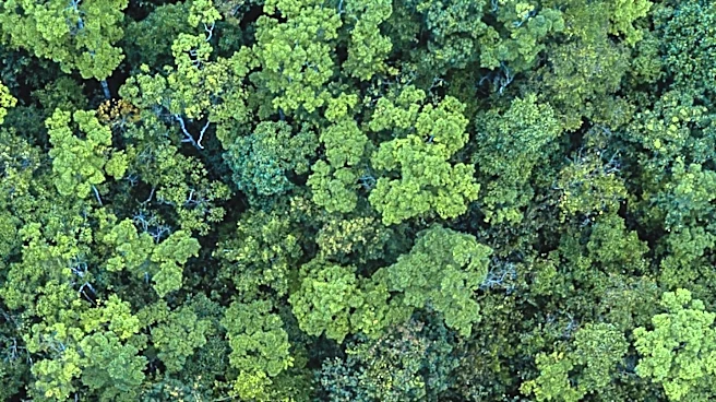 USGS and NASA Collaboration Enhances Vegetation Mapping with Hyperspectral Data