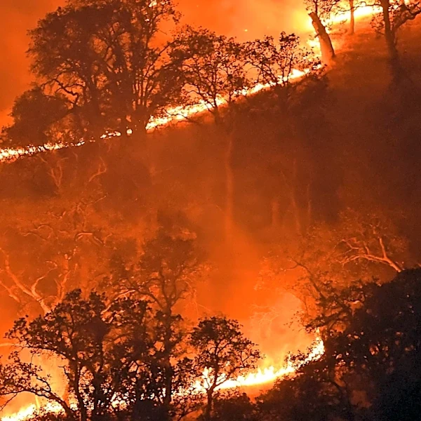 Jury Deadlocked in Trial Over Pacific Palisades Fire