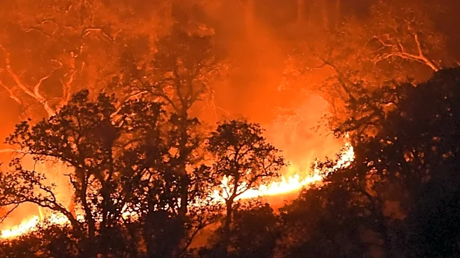 Jury Deadlocked in Trial Over Pacific Palisades Fire
