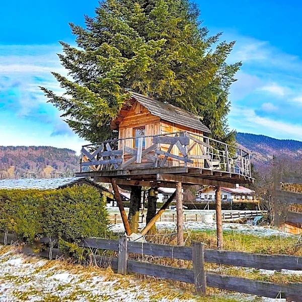 Victor Opens New Treehouse-Themed Playground to Enhance Community Recreation