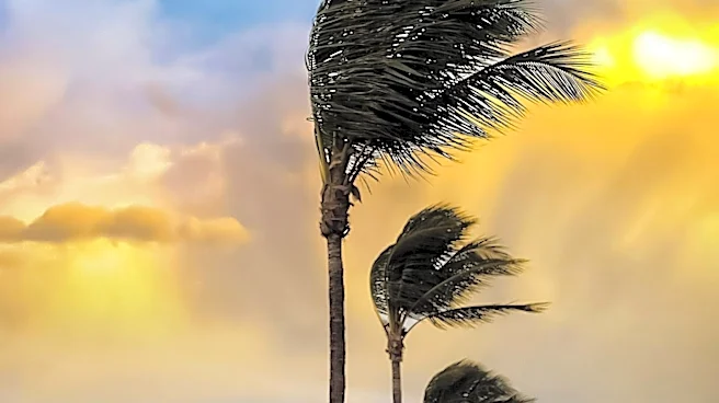 Weekend Weather Forecast: Windy and Mild Conditions Expected
