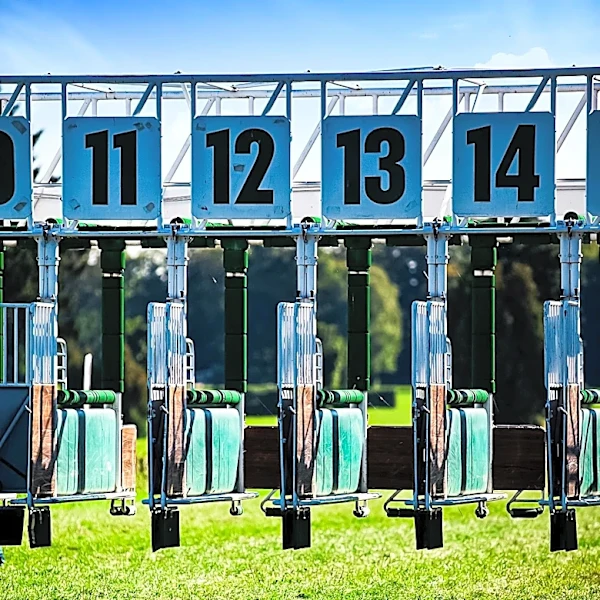 Aqueduct Racetrack Closes After Over a Century of Horse Racing in Queens