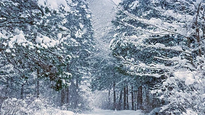 National Weather Service Issues Winter Storm Warning for Northern Rockies, Impacting Travel