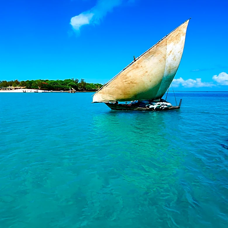 Kenya Coordinates Efforts to Refloat Tanzanian Ship to Prevent Environmental Impact