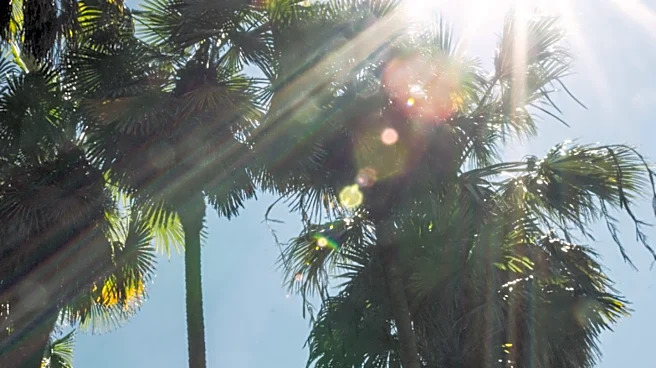 South Florida Experiences Hazy Sunshine Before Afternoon Storms