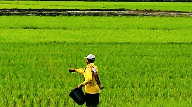 Fiji's Agriculture Ministry Urged to Demonstrate Program Impact on Farmers