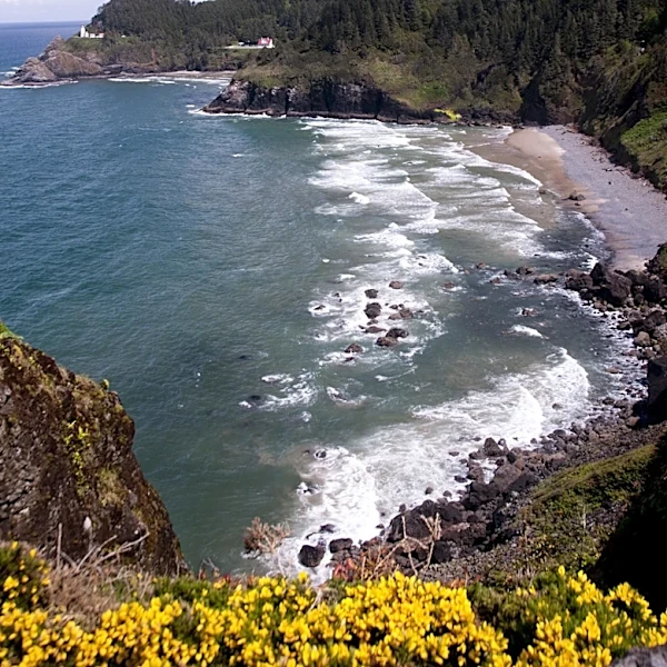 Magnitude 5.5 Earthquake Strikes Off Oregon Coast Amid Increased Pacific Ring of Fire Activity