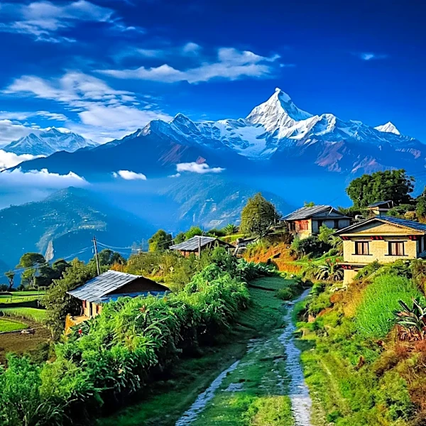 Bhimraj Angdembe Calls for Unified Effort in Agricultural Development to Boost Nepal's Economy