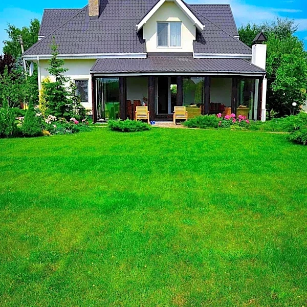 Consumer Reports Advises on Tick-Proofing Yards to Prevent Lyme Disease
