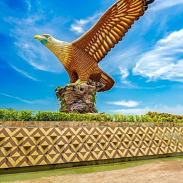 Feliks the Eagle Returns to Serbia After Middle East Kidnapping Ordeal