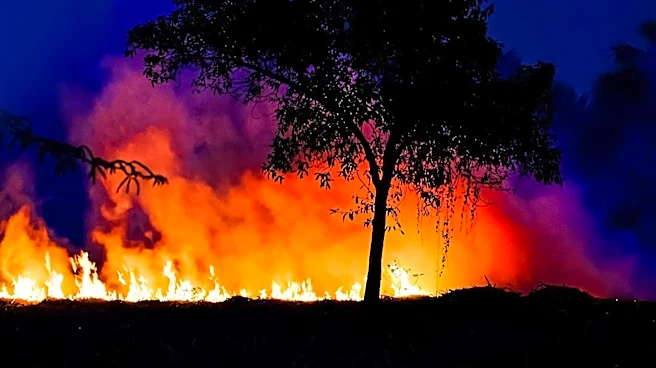 South Carolina Officials Warn of Fireworks-Induced Wildfire Risks Amid Dry Conditions