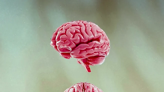Virginia Tech Study Challenges Assumptions in Movement Disorder Research