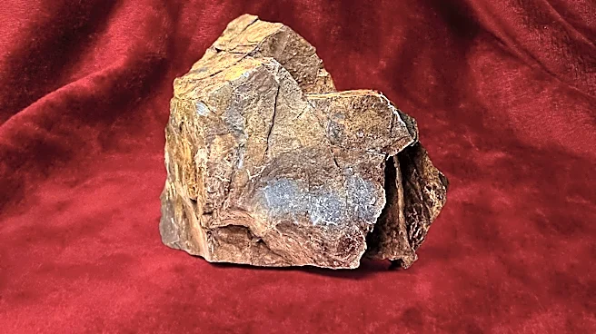Antofagasta Adopts Spot-Indexed Pricing for Copper Ore Sales to Chinese Smelters