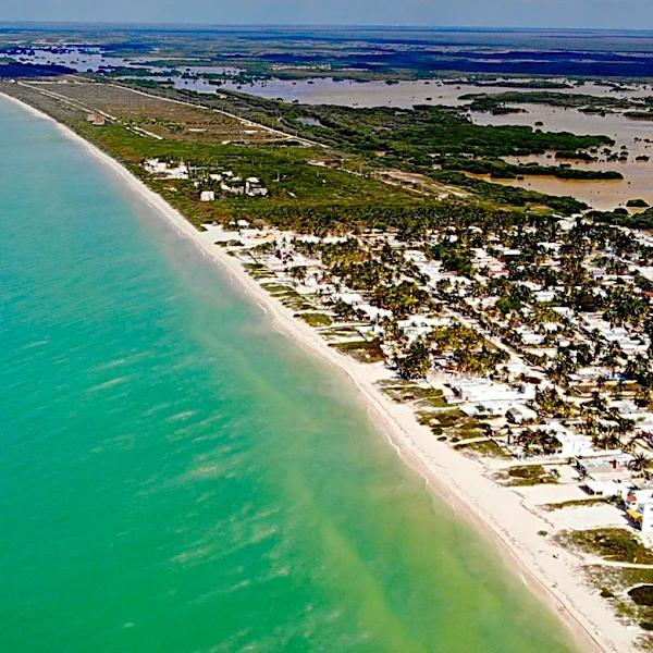 Body of Missing Woman Found in Florida Waters, Family Seeks Answers