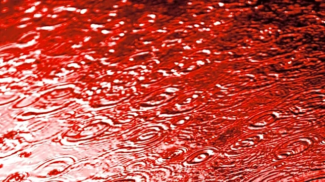 Antarctica's Blood Falls Reveals Hidden Microbial Ecosystem