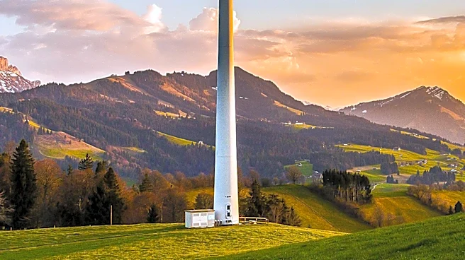 Green Foreign Investment Crucial for Europe's Clean Industrial Policy