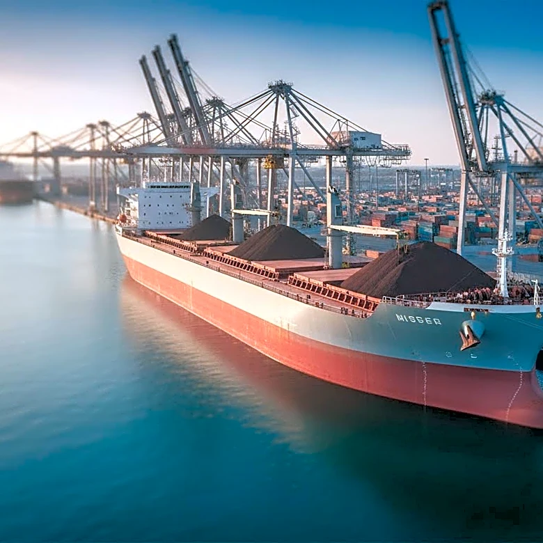Australia Warns of Potential Iron Ore Price Impact from China's State Buyer