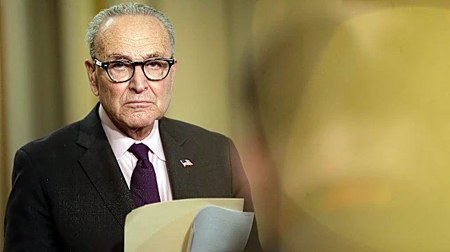 Democrats Embrace 'Fight' Rhetoric to Counter Trump Ahead of 2026 Midterms