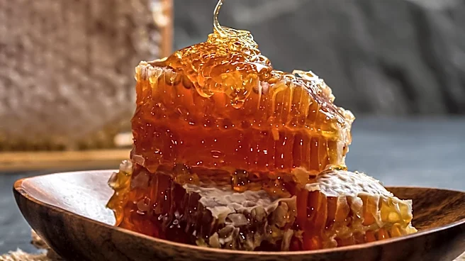 Varroa Mite Threatens Free Pollination for Australian Growers