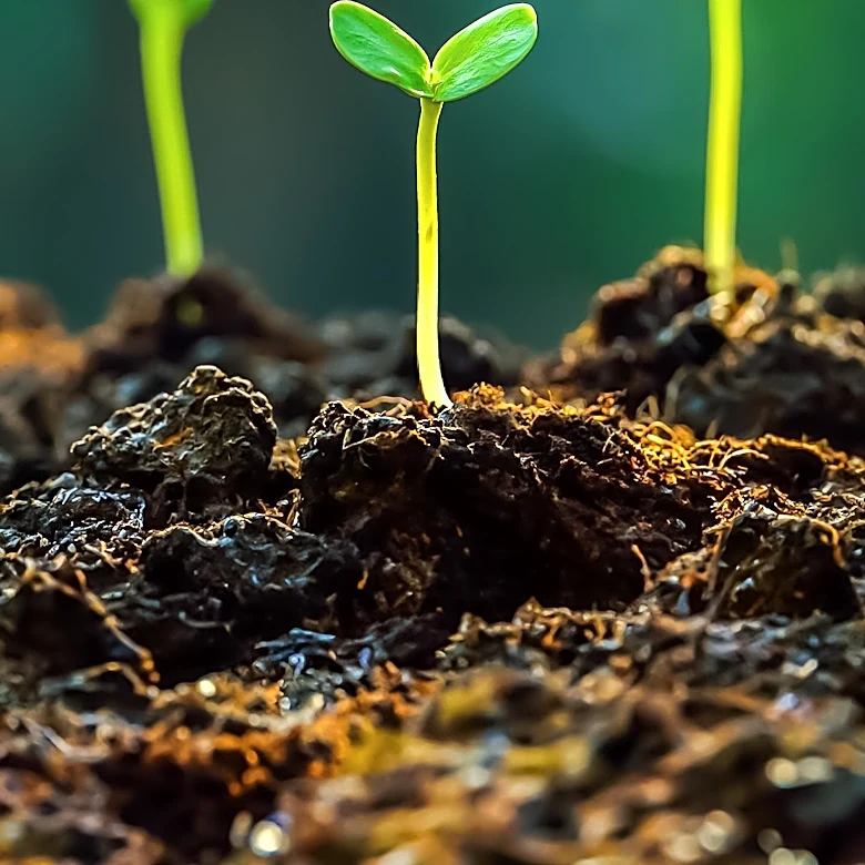 ASCA2026 Opens Early Bird Registration for Agribiotech Course in Malaysia