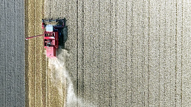 USDA Reports Historic Low in Wheat Harvest Due to Drought and High Costs