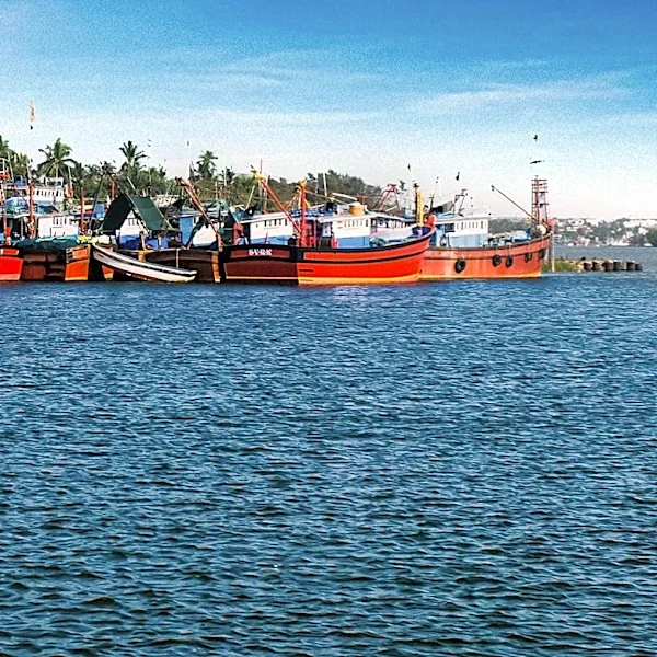Peruvian Court Grants Oversight of Chinese-Built Port Amid U.S.-China Tensions