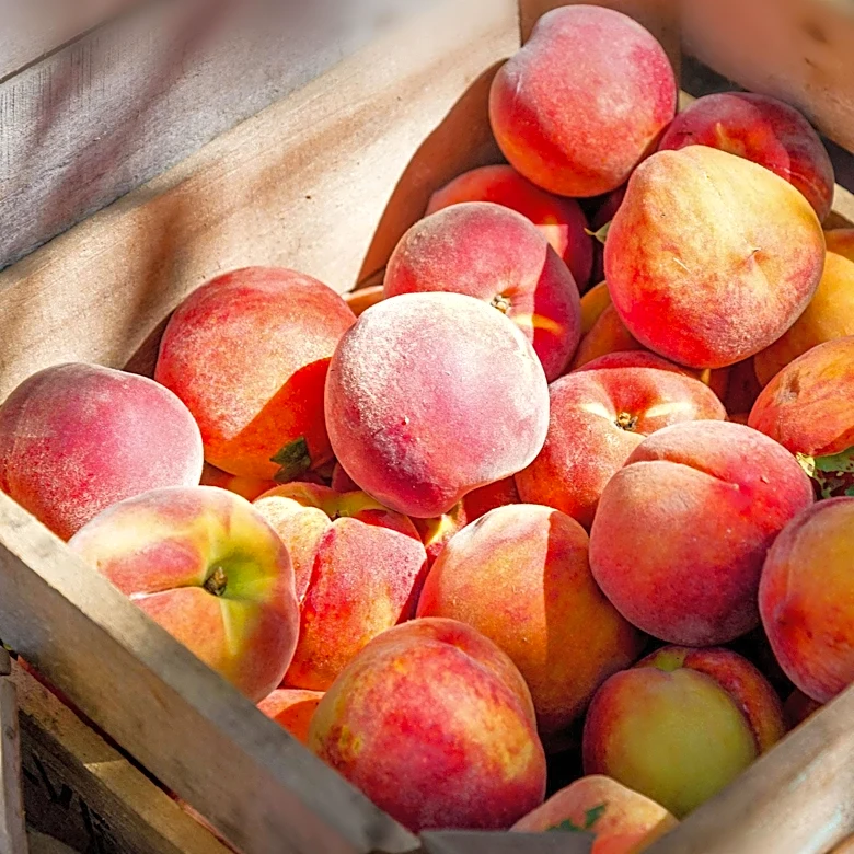 California Farmer Distributes 182,000 Pounds of Nectarines Amid Patent Dispute