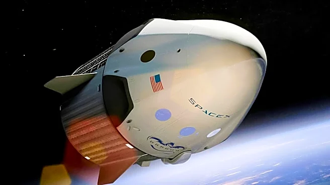 Congress Members Meuser and Cisneros Disclose SpaceX Stock Purchases Post-IPO