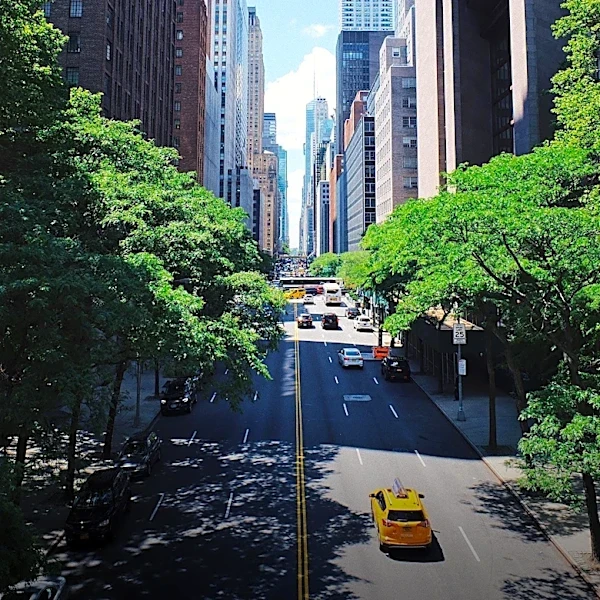 Legionnaires' Disease Cases Reported on NYC's Upper East Side